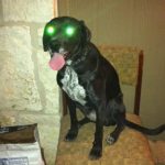 Take Me to Your Leader