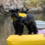 Pepperdoodle