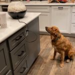 Patient for Popcorn . . . Not